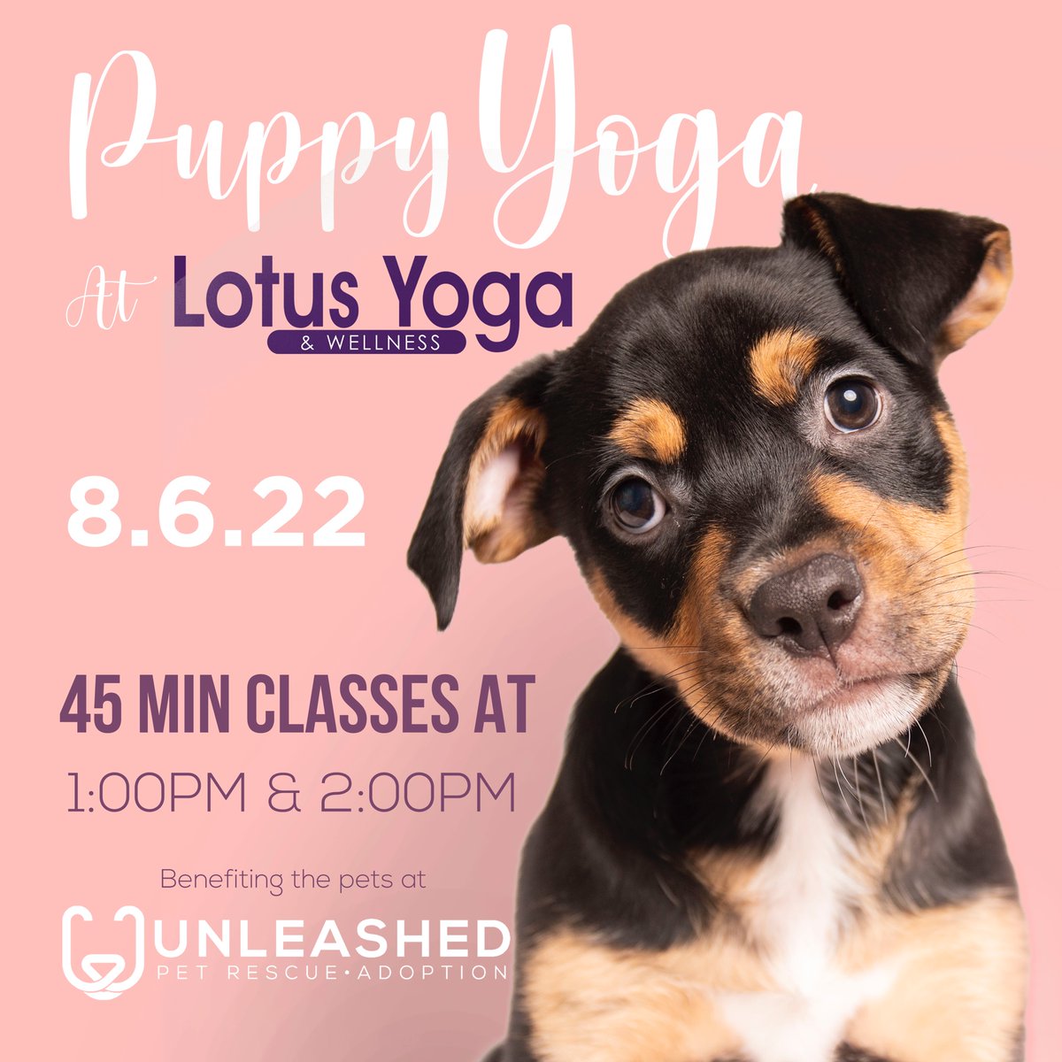 Two great PUPPY YOGA events coming up!  
💞✨🧘‍♀️🧘🐕✨💞
✅ $35 for a yoga class with adoptable puppies from Unleashed!
✅ All proceeds beneift our shelter pets and rescues! 
July 16th (THIS SATURDAY!) 🔜 bit.ly/WCPuppyYoga
August 6th ➡️ bit.ly/PuppyYogaLotus