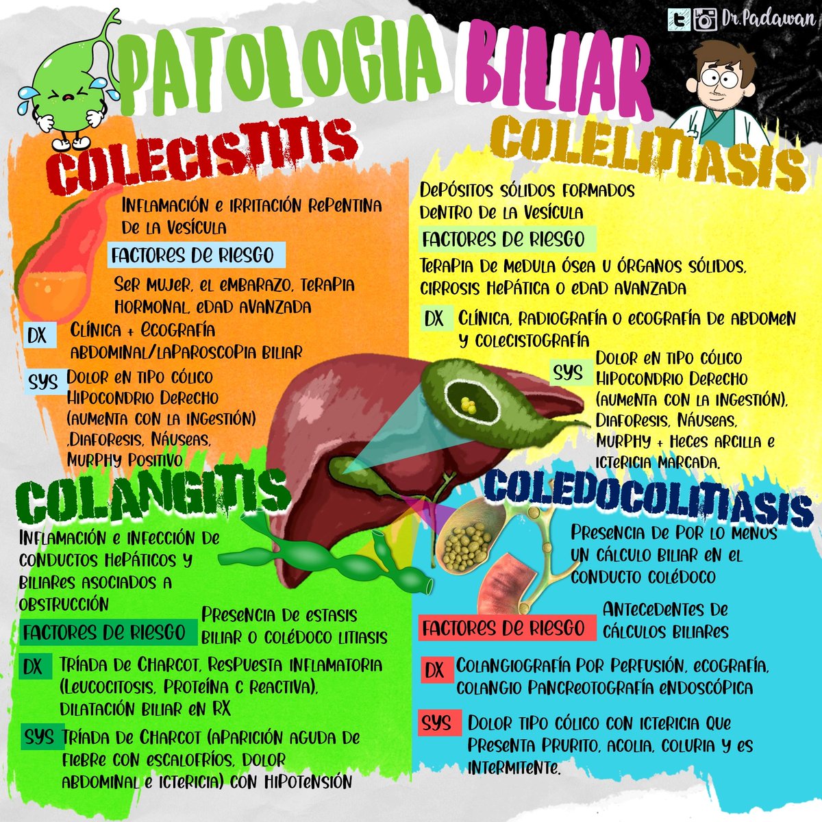 padawan_dr's tweet image. Patología Biliar #Colecistitis #Colelitiasis #coledocolitiasis #Colangitis #PatologiaBiliar #ENARM #flashcardsmedicina #flashcards #EGEL #Repasoenarm