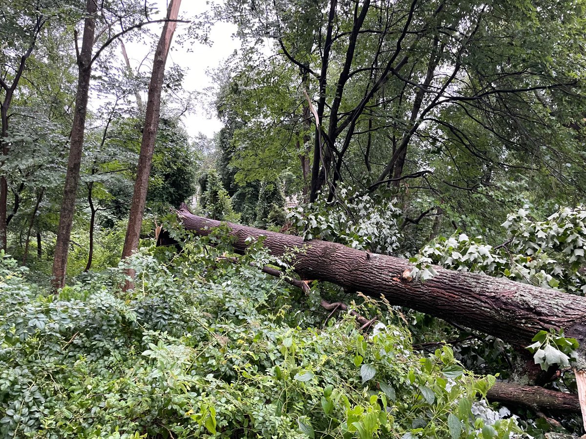 Pete Piringer on Twitter "Storm damage, Olney,MD At Morningwood and