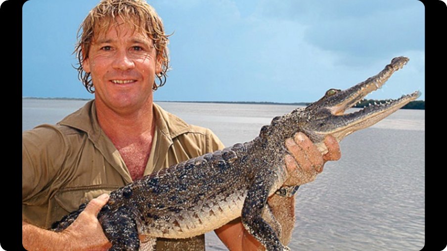 "Crocodiles are easy. They try to kill and eat you. People are harder. Sometimes they pretend to be your friend first." 

- Steve Irwin