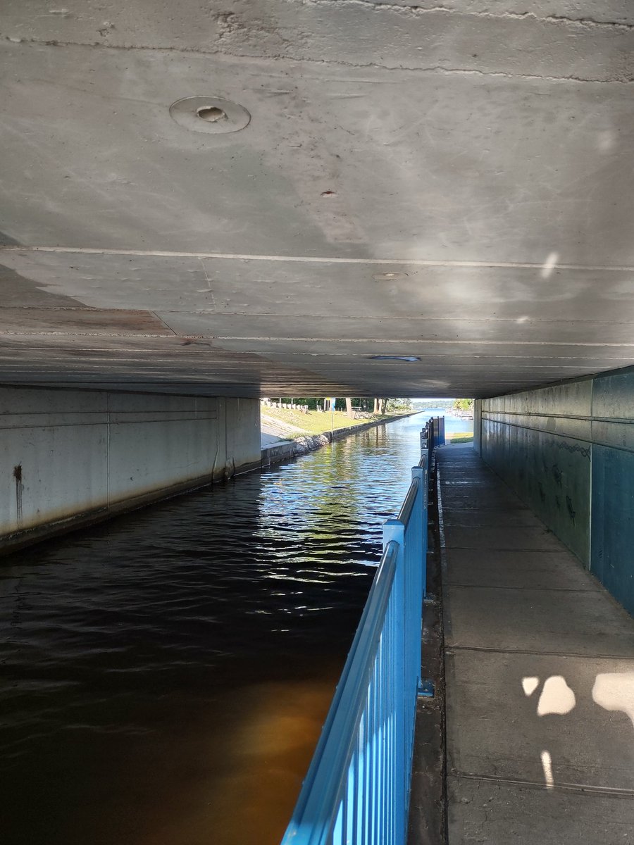 timbresnahan's tweet photo. #MichiganStateParks are such an incredible service to anyone who visits the Great Lakes State. These pics are from Wm.Mitchell State Park in Cadillac. This canal connects two lakes and campers can dock along it, too https://t.co/BgJEsVVHgj