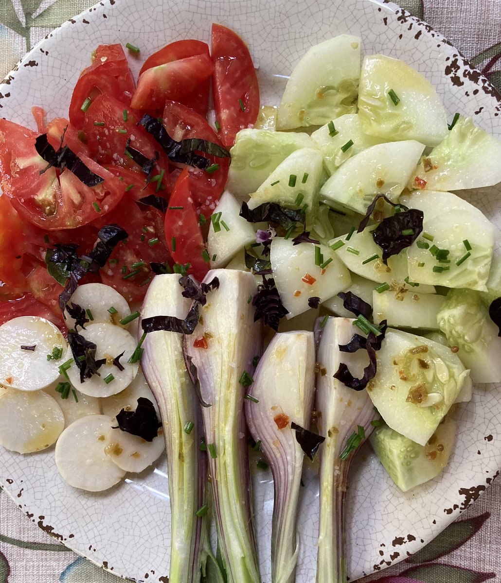 CharuThakar's tweet photo. This week seems to be going good with #summer vegetables. Heirloom 🍅; Homegrown 🥒; Bulb 🧅; Salad Turnips with a ‘Rustic’ Garden Dressing and Herbs! #nephbbq @nephchef @UCKidney https://t.co/NNetbtYePf