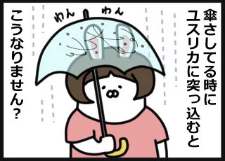 ユスリカ運搬しています
 #雨の日  #虫 