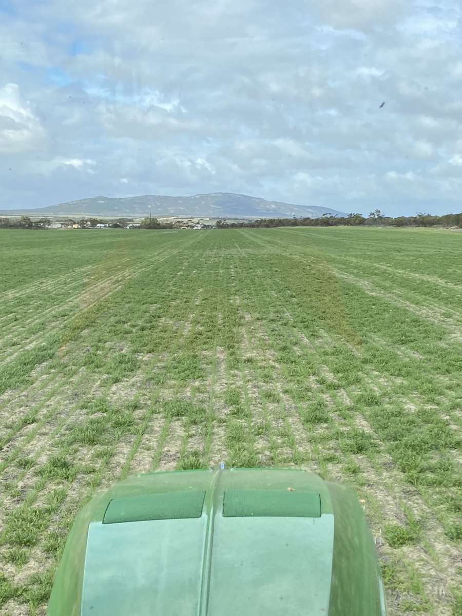 Ashley Butterfield tweet media