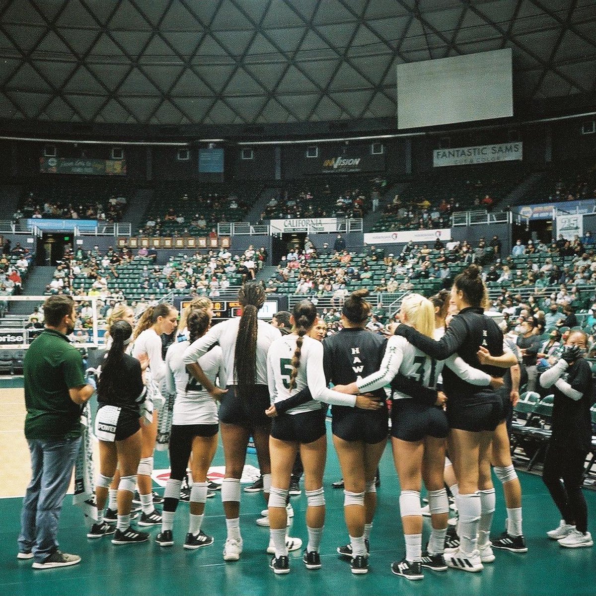 Hawaii Rewards tweet media