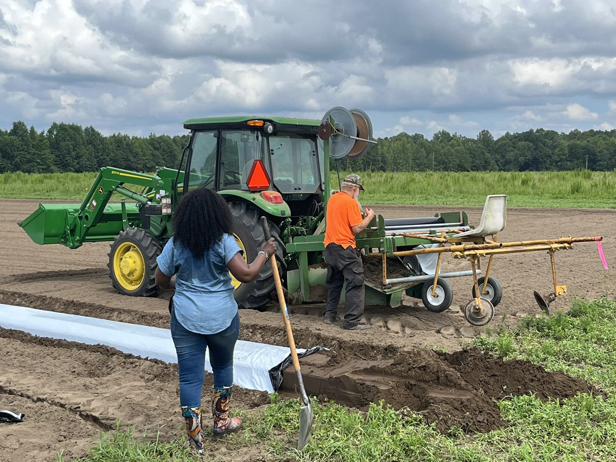 reagrio's tweet photo. 130 variants of #hemp, the soil is ready, #brightna #scra #puregene #scstateuniversity and @reagrio with our #microbes and #mycorrhiza can’t wait for the results. https://t.co/r4eLVoHOrG