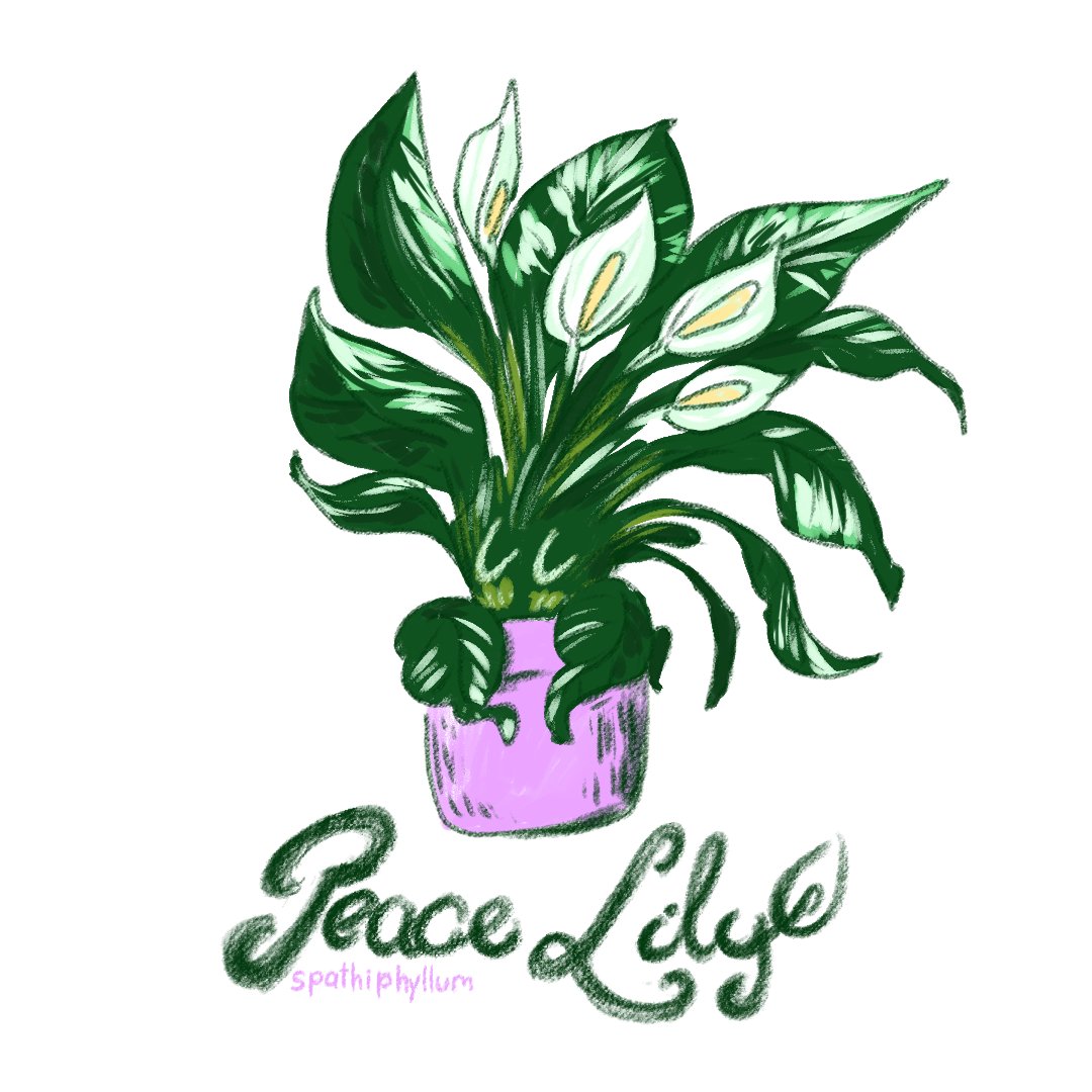 TheLeafHead's tweet photo. Hello, I like drawing silly plants and animals #PortfolioDay https://t.co/UvmtvPAnNL