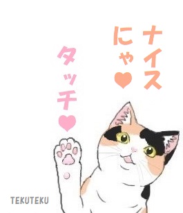 #ナイスの日 🐱🧡 