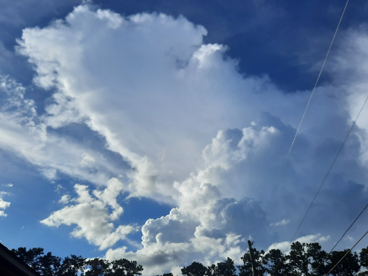 #Clouds from a #storm over JIA this eve #JaxFL #AJSGArt #StormHour #ThePhotoHour #firstalertwx #photography #nature #ViaAStockADay @WizardWeather @JAclouds @luketaplin42 @tracyfromjax @cloudymamma @mypicworld @enjoyscooking @AngelBrise1 @WilliamBug4 @LensAreLive @EarthandClouds2