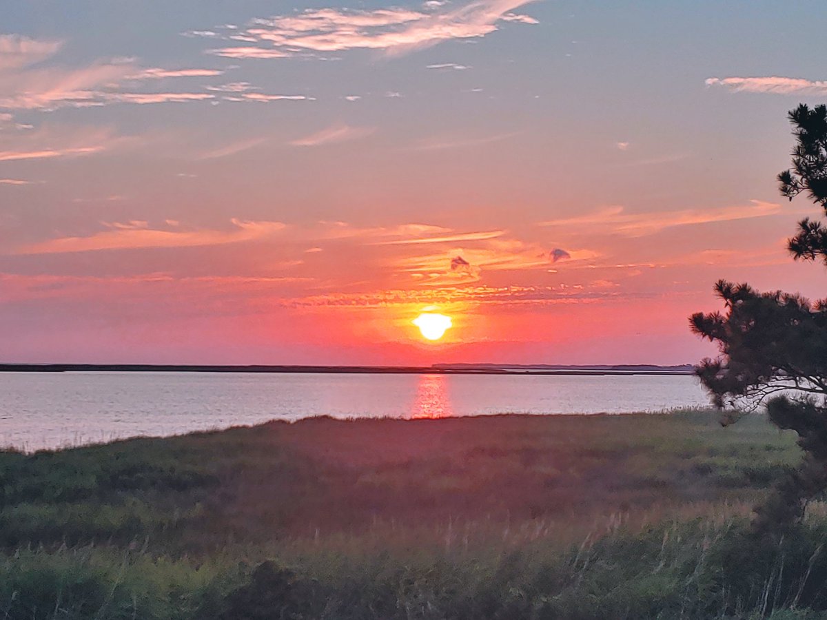 SopranoCellist's tweet photo. Beautiful!!! #obxsunset https://t.co/mZIJXfs7uC
