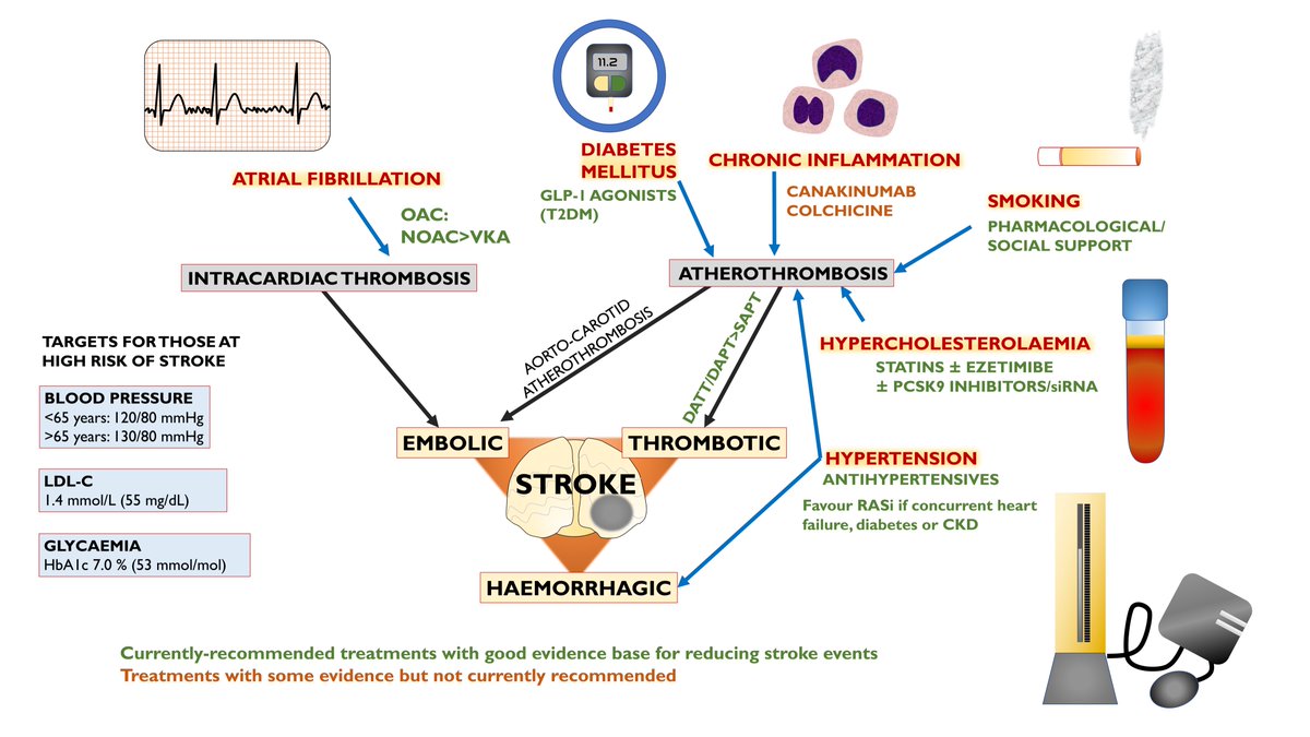 RPTH (@rpthjournal) on Twitter photo There are many factors to consider in #stroke prevention. This #CoagCapsule summarizes many key points from by <a href="/TheClotDoc/">Dr Will Parker</a> SOA Talk at #ISTH2022 happening now #IllustratedReview onlinelibrary.wiley.com/doi/full/10.10… There are many factors to consider in #stroke prevention. This #CoagCapsule summarizes many key points from by <a href="/TheClotDoc/">Dr Will Parker</a> SOA Talk at #ISTH2022 happening now #IllustratedReview onlinelibrary.wiley.com/doi/full/10.10…