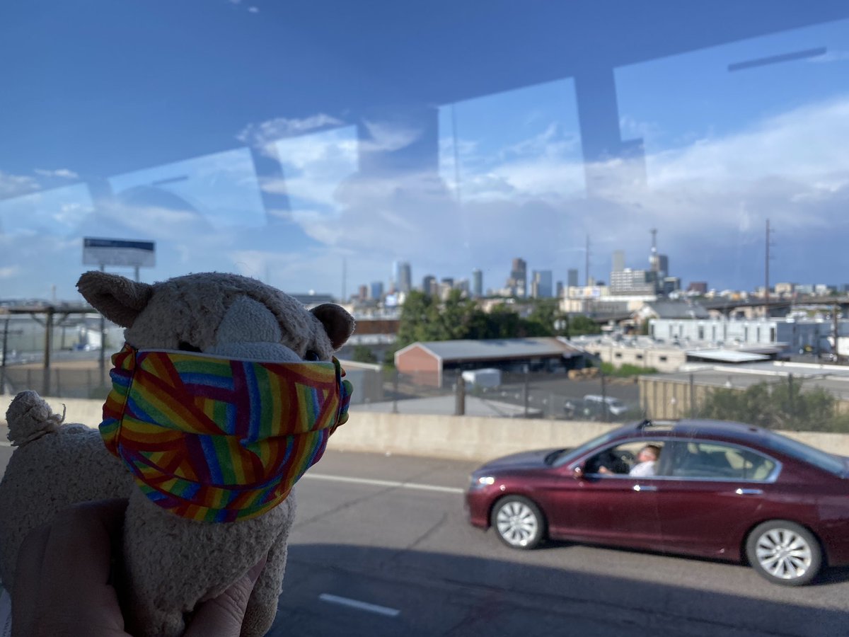 perrys_lab's tweet image. Headed into Denver for the #ACSColloids banquet! #LlabLlama