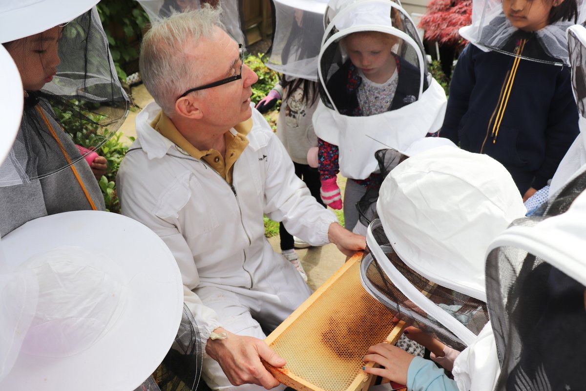 YorkHouseSchool's tweet photo. Gr. 1s visited Ms Carmelita's beehives for their Bee the Change project. They saw worker bees, honeycomb &amp; tasted honey and learned that beekeepers use a smoker to keep bees calm. They now have a new appreciation for the work bees do in pollinating our world’s plants! #myYHS 🐝🍯 https://t.co/OrjWZP6sSm