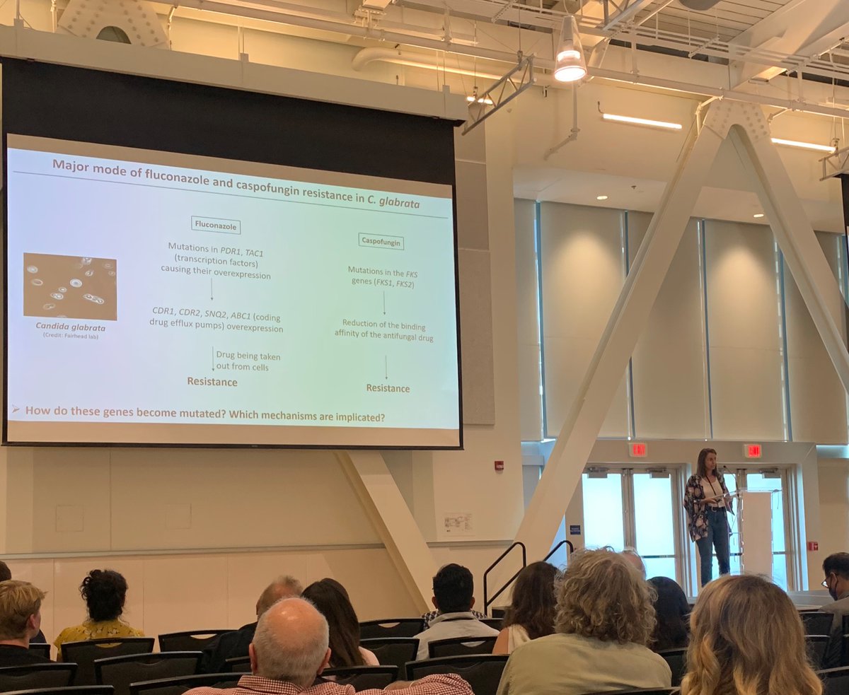 Wrapping up a great first day at <a href="/ISSY36Vancouver/">ISSY36</a> and a beautiful talk by our postdoc <a href="/LaetitiaMaroc/">Dr. Laetitia Maroc</a> on non-homologous end joining in Candida glabrata drug resistance #ISSY36
