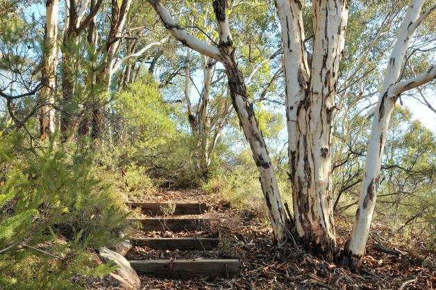 awconservancy's tweet photo. Visit picturesque Paruna Wildlife Sanctuary (WA) these school holidays - only an hour out of Perth 🍃 

Explore walking trails through diverse forest, heathland and riparian habitats. 👉 https://t.co/1mMbmAAgTC 

📸 W Lawler/AWC

#AWC #DiscoverWA #WesternAustralia https://t.co/6CUl5FWUp3