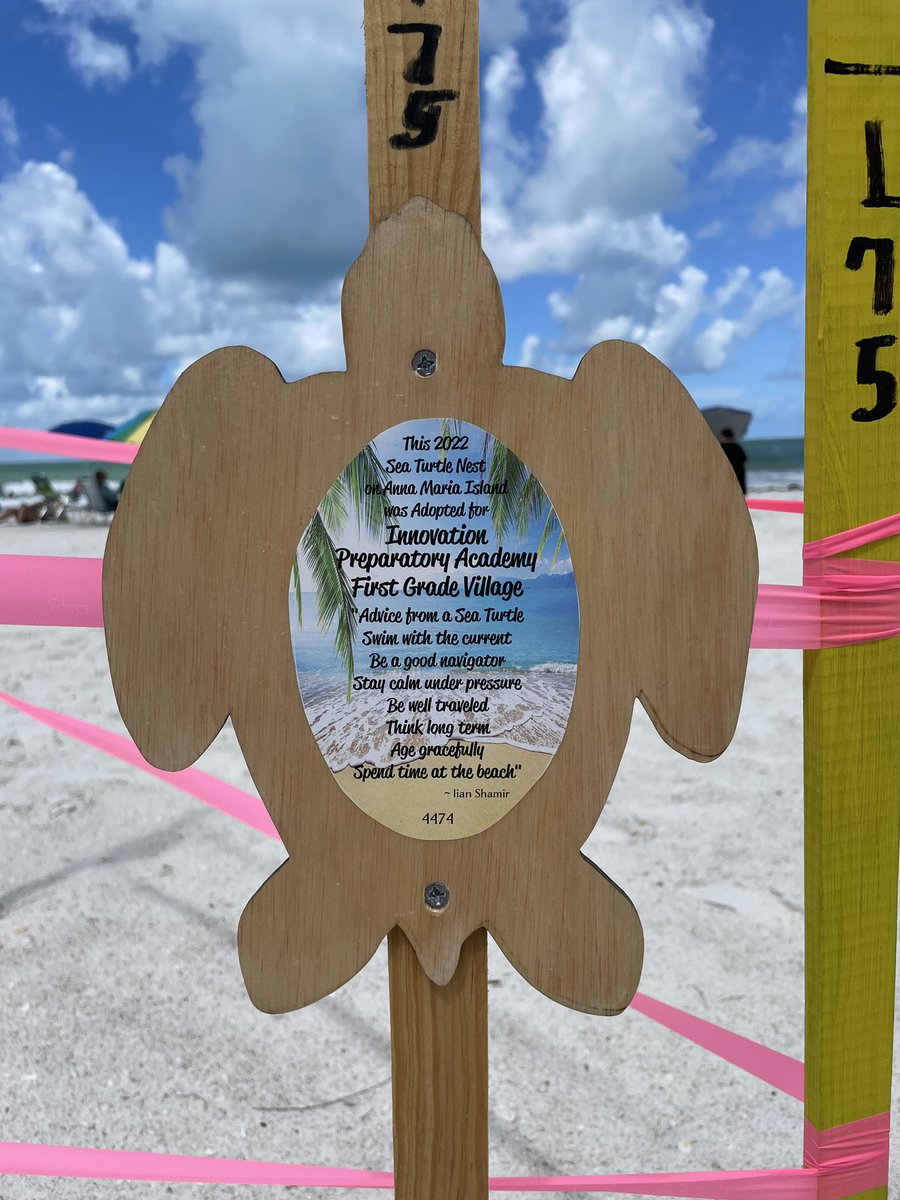 Afifield88's tweet photo. So proud of our 1st graders and their “Change for Change” project! They set a goal, reached it, and “adopted” a sea turtle nest to protect in Anna Maria. https://t.co/6t9TnIOtqC