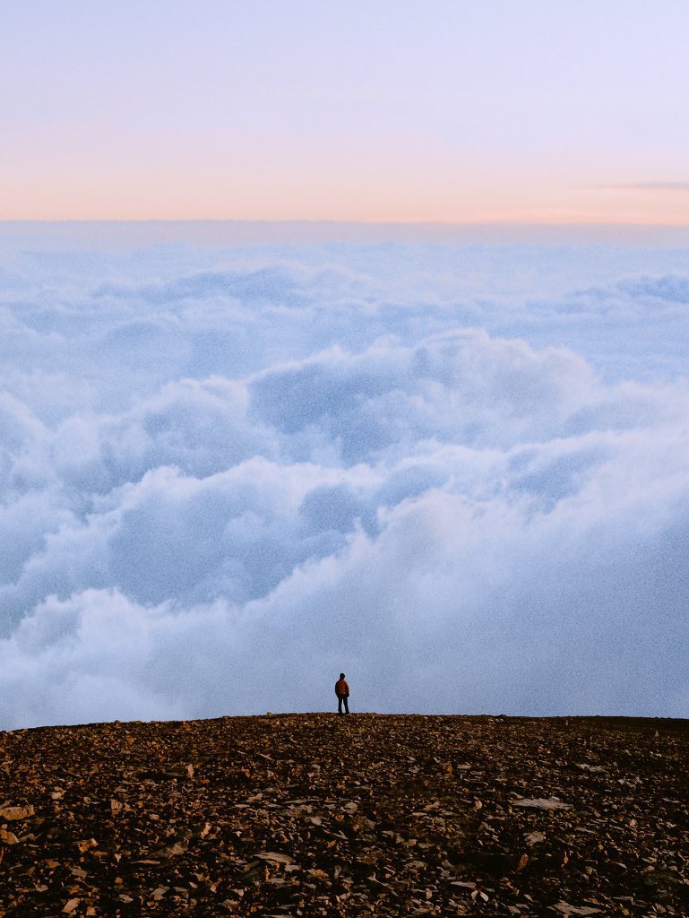 donmarqvez's tweet photo. Learn to love solitude and you'll be unstoppable ☁️🤍 https://t.co/cJwAOX9BpT
