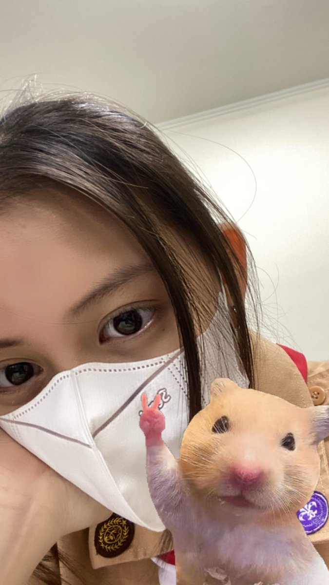 ChristyzerDIY's tweet photo. wadidaw... pagi-pagi udah pap. 😊

selangat belajar dan beraktivitas ya, dedek @A_ChristyJKT48 🙌😁

jangan turu &amp; blah bloh di kelas ya 😉😁
.
#HwaitingChristy https://t.co/8yUvasov5p