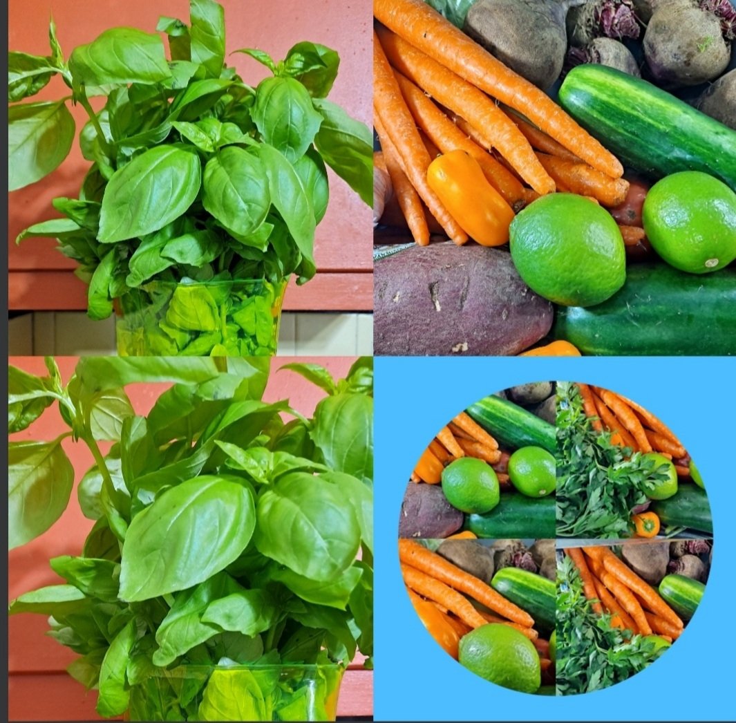 EveLkCuisine's tweet photo. Eat healthy, stay healthy, stay fit, and live long with these natural ingredients. Keep basil around the kitchen.#Goodsmell #enjoycooking. https://t.co/s9gm78Wq5i