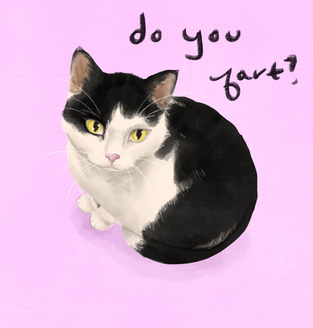 maggiebarath's tweet photo. Happy #PortfolioDay !!! My name is Maggie, an illustrator from SoCal who likes to draw children’s books and silly pet portraits 🐱🐶🏄🏻‍♀️ https://t.co/ppDn1Ez4sP