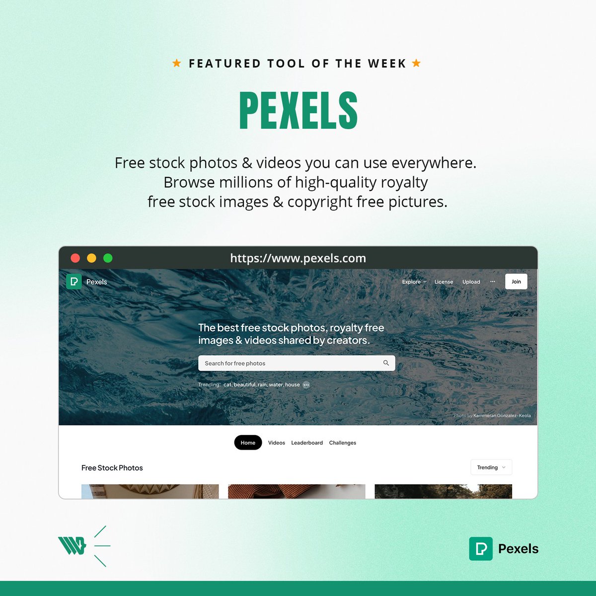 webteractive's tweet image. Featured Tool of the Week 🌟

Free stock photos &amp;amp; videos you can use everywhere. Browse millions of high-quality royalty free stock images &amp;amp; copyright free pictures.

🔗 pexels.com

#webteractive #featuredtool #Freestock #photos 
#tools #assets
