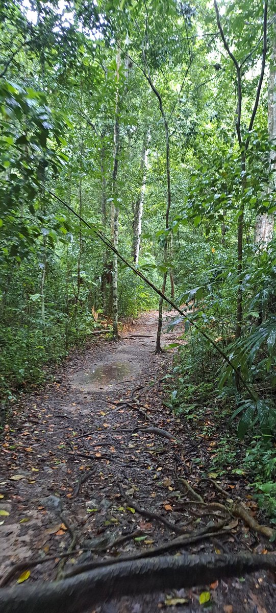 ronypiedrasanta's tweet photo. Después de la lluvia seguimos caminando en este #Plan22 https://t.co/ckwsTRyrAz