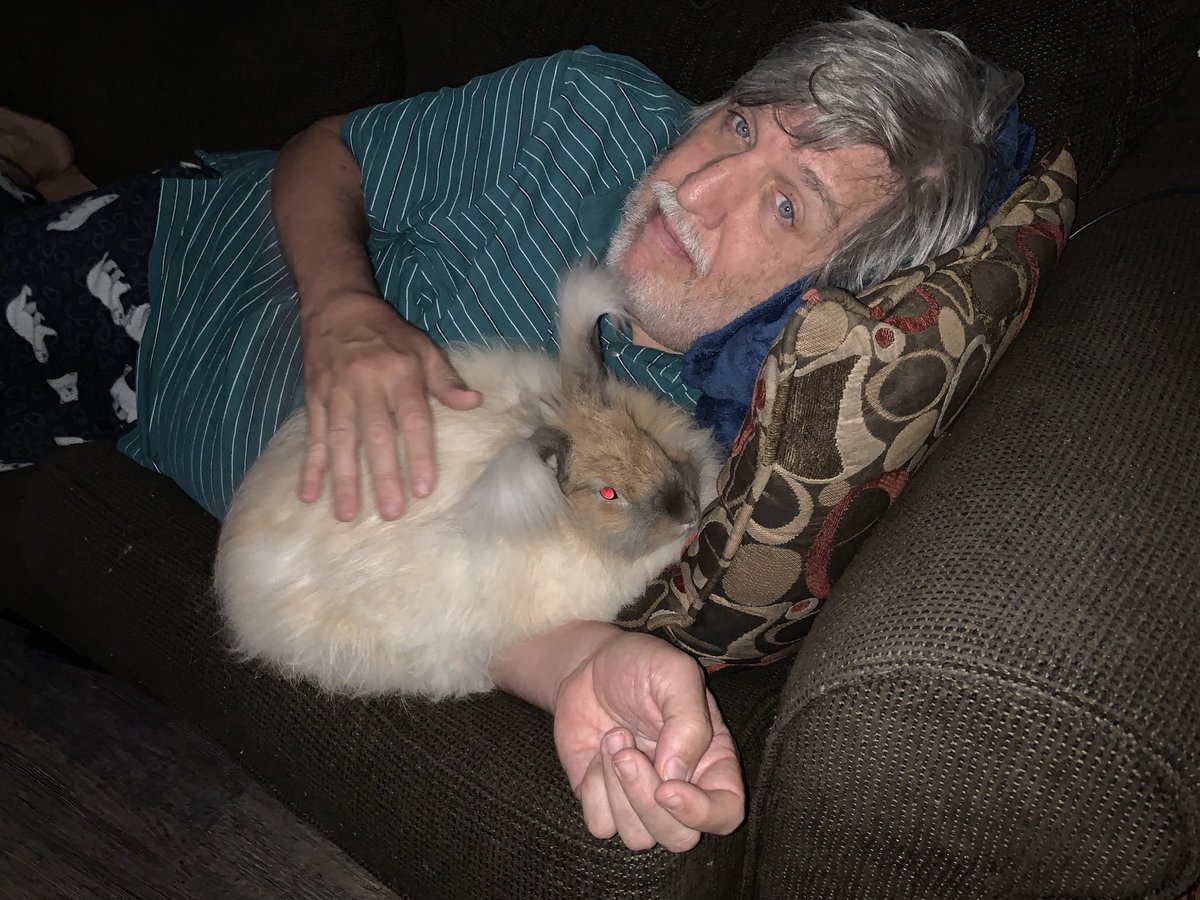 bunsofconyers's tweet image. Daddy Hoomin did sumfin too his back leg knee to nite wen he went owt too eat wif da hoomin fambly. I makin him feel comfy and makin sure he stays rested. May gif him sum parsley later. - Nurse Honey Bun 👩‍⚕️🐇