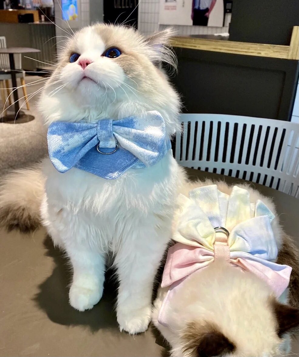 Hello dear I am ready