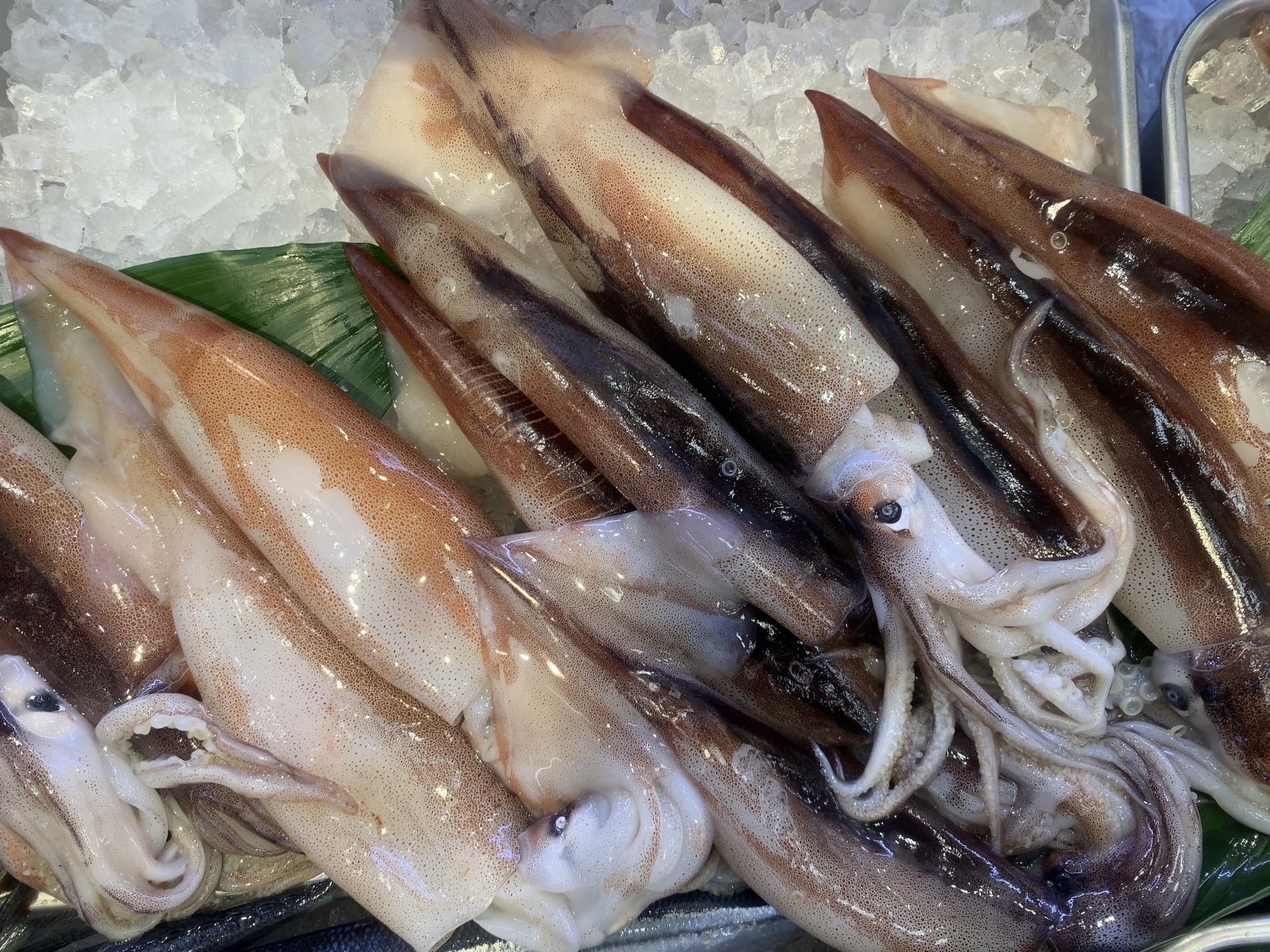 けんいち料理長 スルメイカが美味しくなります 別名 夏イカ とも呼ばれ 夏に水揚げが多い 初夏に獲れた小柄なものは 麦イカ と呼ばれる 生では程よい硬さで旨味 甘みはやや少ないが 加熱すると身が少し硬くなり 旨味 甘みは増す 生食の時は