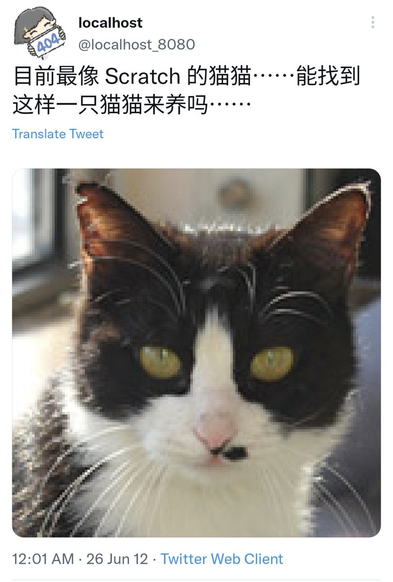 localhost tweet media