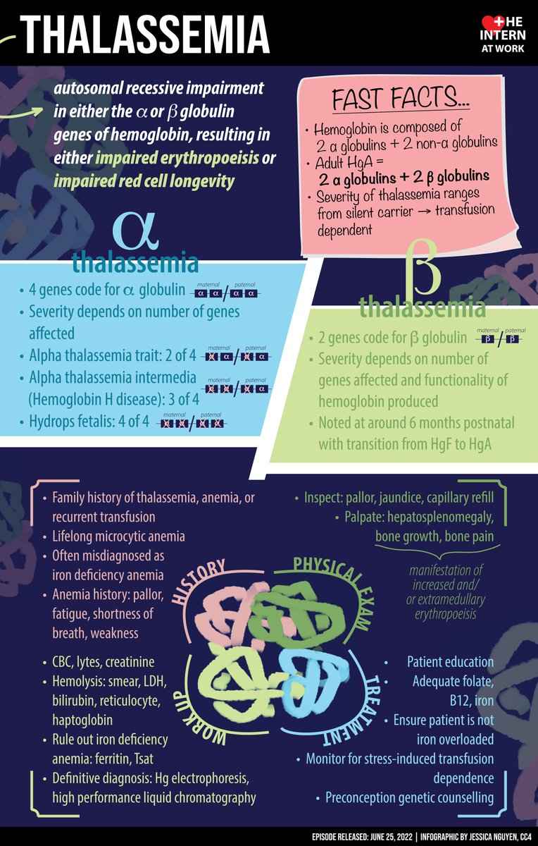 InternAtWork's tweet photo. Here's a pod to get your blood pumping🩸, "An Approach to Thalassemia", written by Dr. Catherine Lovatt (IM resident), reviewed by Dr. @MVerhovsek (Hematology) and Dr. Daniel Brandt Vegas (GIM). Beautiful infographic 🎨 courtesy of @nguyenjessic_a (CC4) https://t.co/LfAVAqIfZt