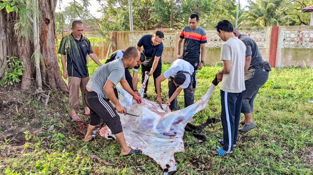 Program Ibadah Qurban Anjuran Surau An Nur Wisma Negeri dan JKR Ibu Pejabat dilaksana di Kediaman Rasmi Tn Pengarah JKR Terengganu.
<a href="/JKRMalaysia/">JKR Malaysia</a> <a href="/IrZulkefly/">Mohd Zulkefly S</a> @IrMdridzwan <a href="/HasliJKR/">Hasli Ibrahim (Ir. Dr.)</a> <a href="/SaigaiSuhaila/">suhaila saigai</a> <a href="/NordinYusof71/">başfiyatmamışlar Bakırköy ⋞ₑ͢ẛ͢c͢ₒ͢ᵣ͢ₜ͢⋟</a>