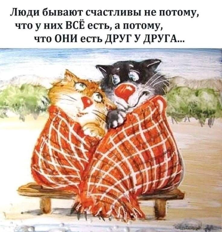 Любовь Синицина (@arabeska60) on Twitter photo 