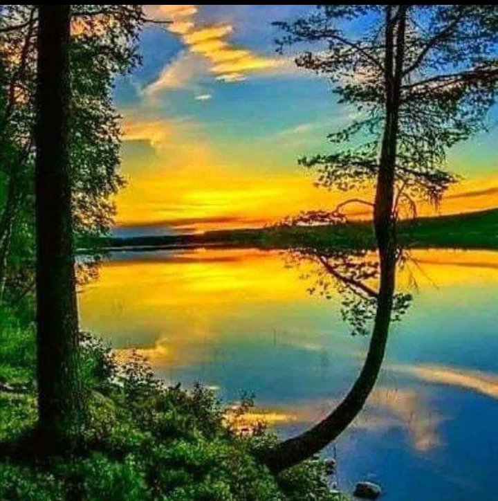 MAgwom's tweet photo. When you take a critical look at nature you will have zero choice but to fall in love with it. #Goddeycreate https://t.co/dLffNMdP37