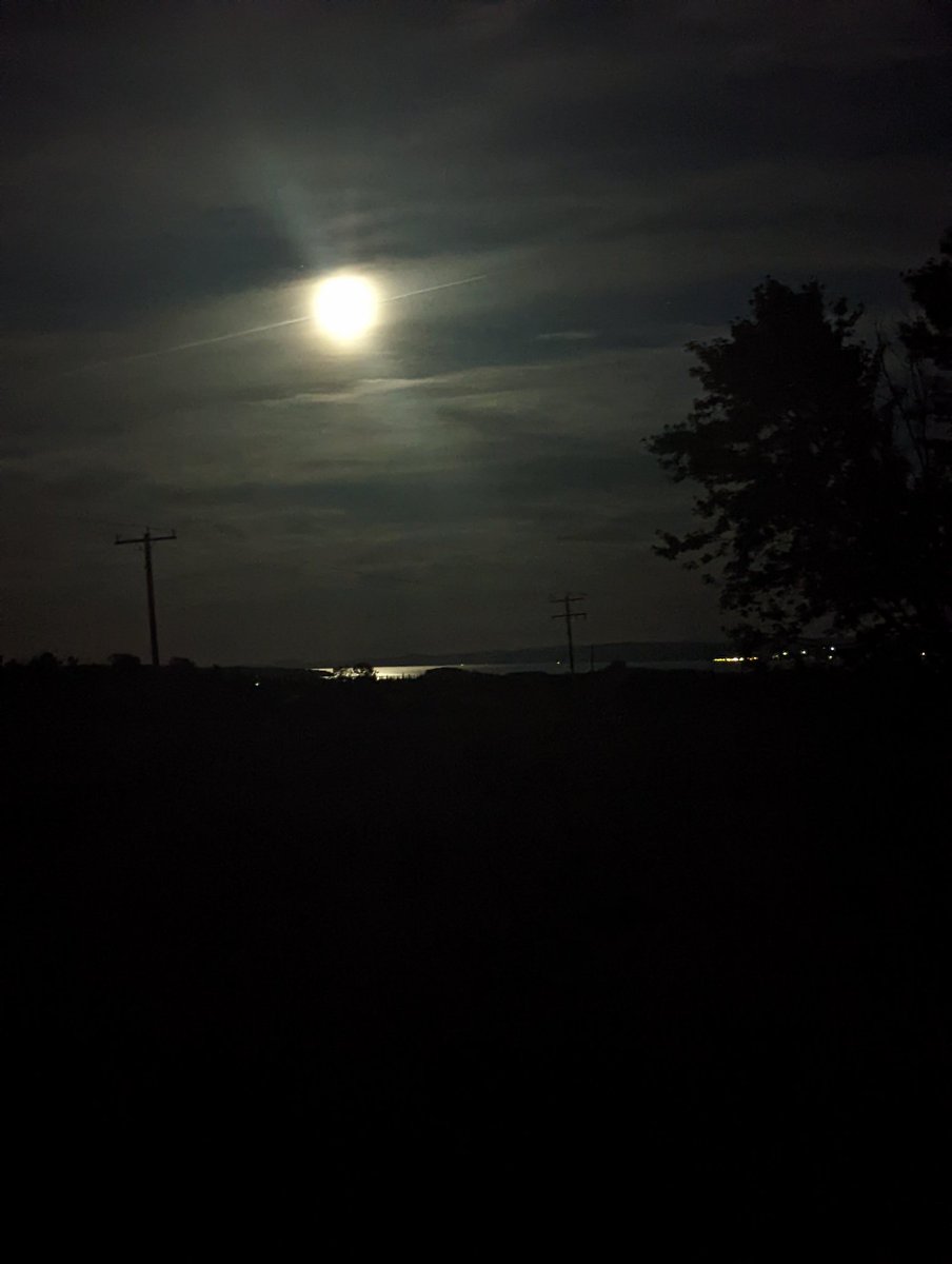 mindyinthedirt's tweet photo. What a moon tonight!
Love the nights when it reflects off the lake like this too!
#peaceful #moonlight #laketimiskaming #toughtobeatthisview https://t.co/gFR7Al7tCU