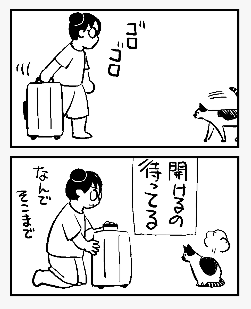うちのねこ、スーツケースに入るのが好き 