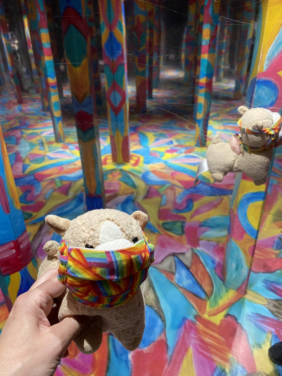 perrys_lab's tweet image. Interesting art experience @MeowWolf for the #ACSColloids banquet. #LlabLlama particularly liked the rainbow mirror room that matched her mask.
