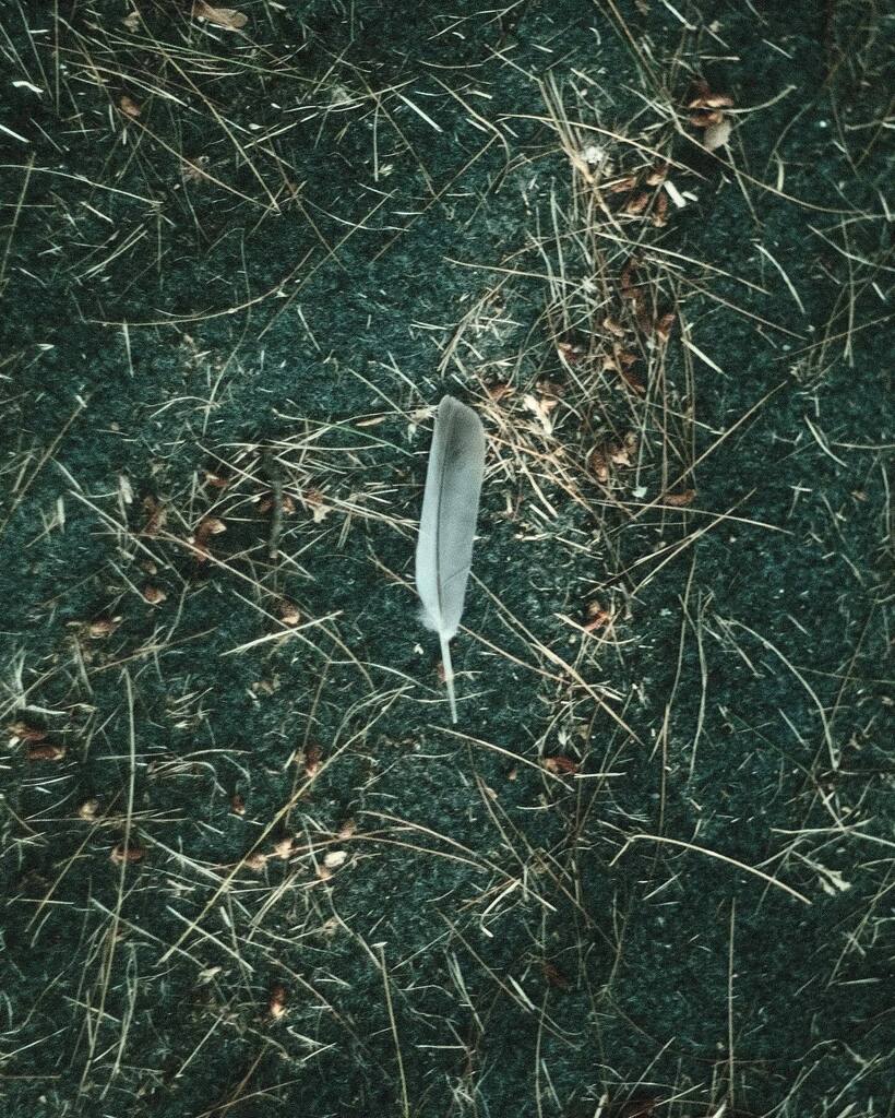 lagbot's tweet image. 📸🤷‍♂️ instagr.am/p/Cf7_bissG4q/