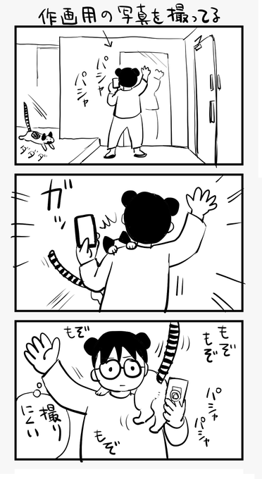 うちのねこ玄関に立ってると必ず登ってくる 