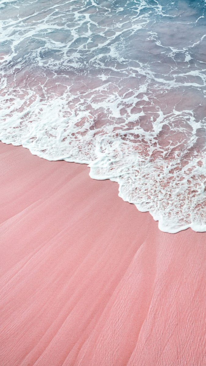 국밥시즌 (@kookseason) on Twitter photo 