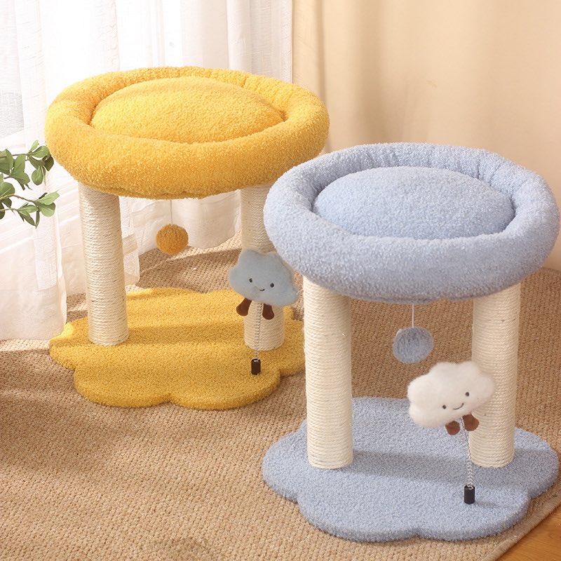 LOFFEPET Lina (@loffepetl) on Twitter photo 