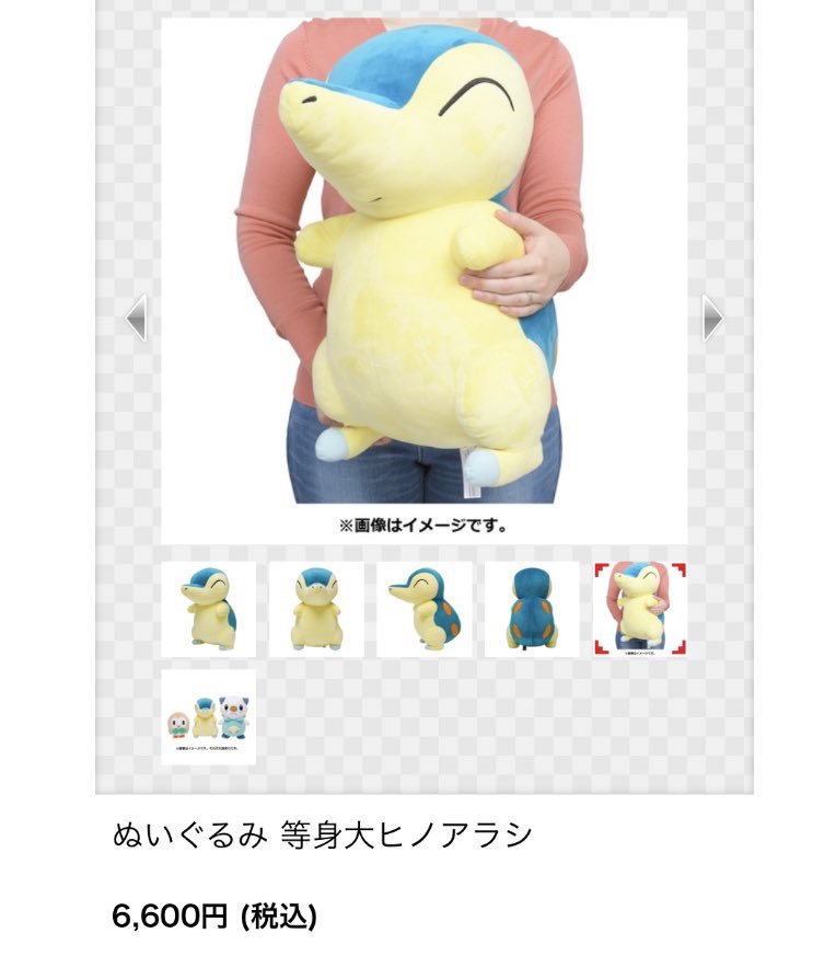 ぬいぐるみ 等身大ヒノアラシ : ポケモンセンターオンライン ぬいぐるみ 等身大ヒノアラシ : ポケモンセンターオンライン