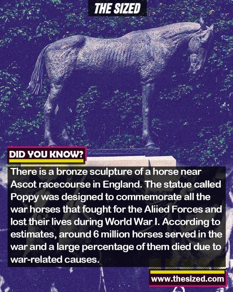 niloc14061952's tweet image. 