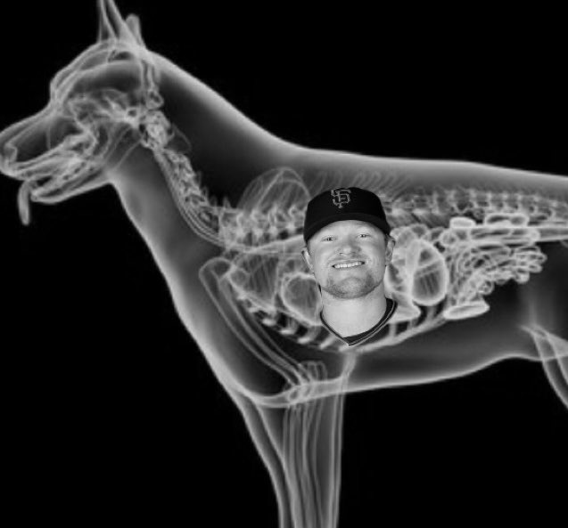 Andrew James tweet media