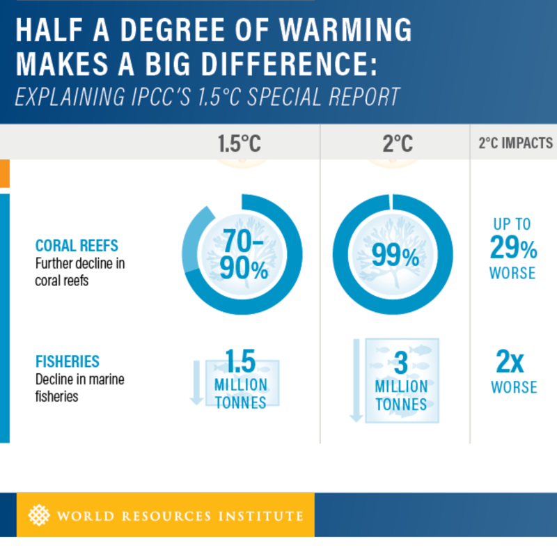 WorldResources's tweet photo. Parts of China, the U.S. and Europe are facing intense heatwaves this week. As climate change continues, extreme weather events will only increase.

See how much a fraction of a degree matters ⬇️