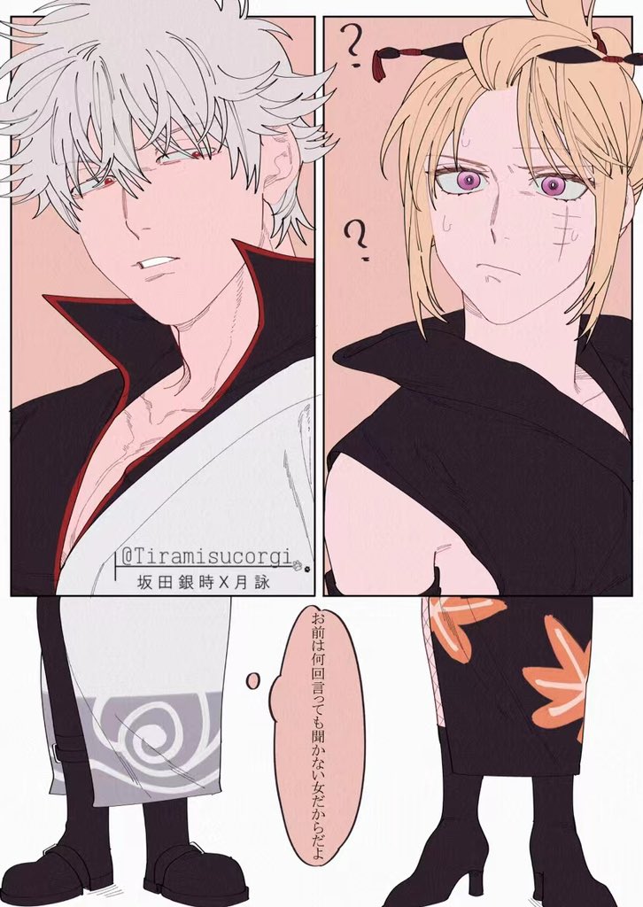 提拉米蘇柯基犬 Tiramisucorgi Twitter