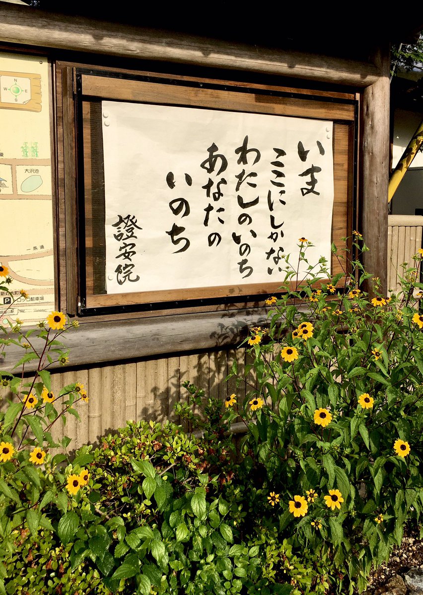 shouanin_kyouto's tweet photo. 今月の掲示板
ミニヒマワリがいっぱい🌻 https://t.co/VzgdiIohTn