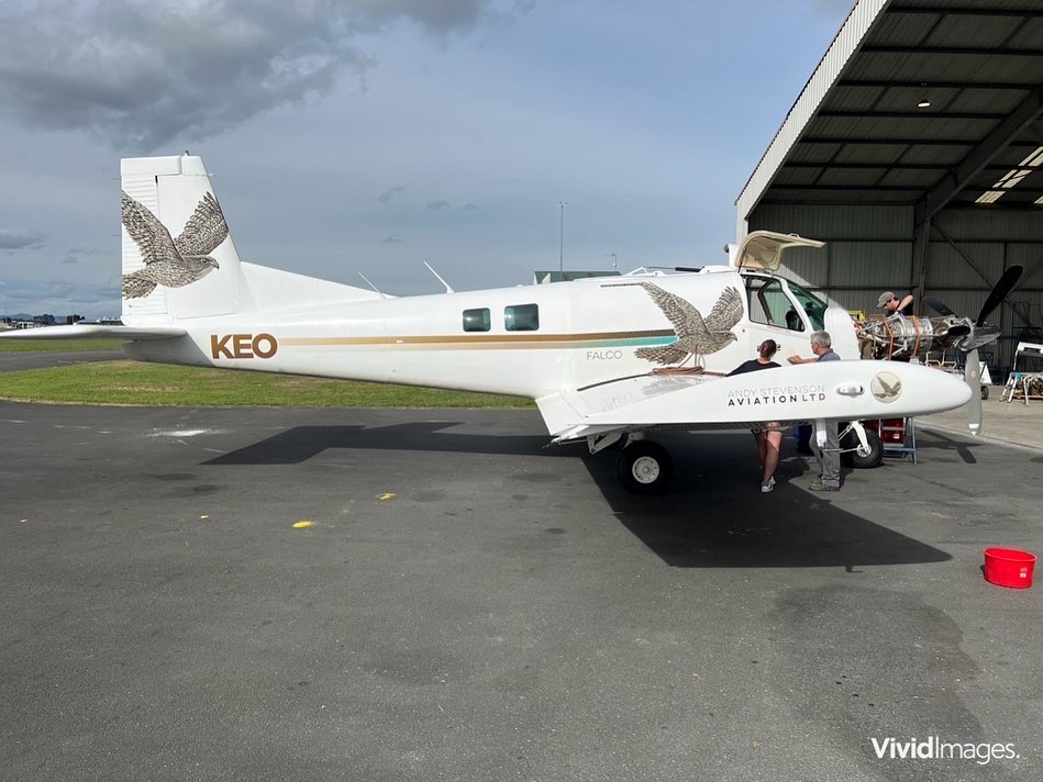 vividimagesltd's tweet photo. Aeroplane ✅
The list of things we can wrap continues to grow along with our awesome business! Check out the impressive work completed by our highly-skilled designer and sign-writer. 
#vividimagesltd #weprintedthisnz #excellenceinprinting #aeroplane #aeroplanewrap #customwrap https://t.co/S4MtXmbWlu