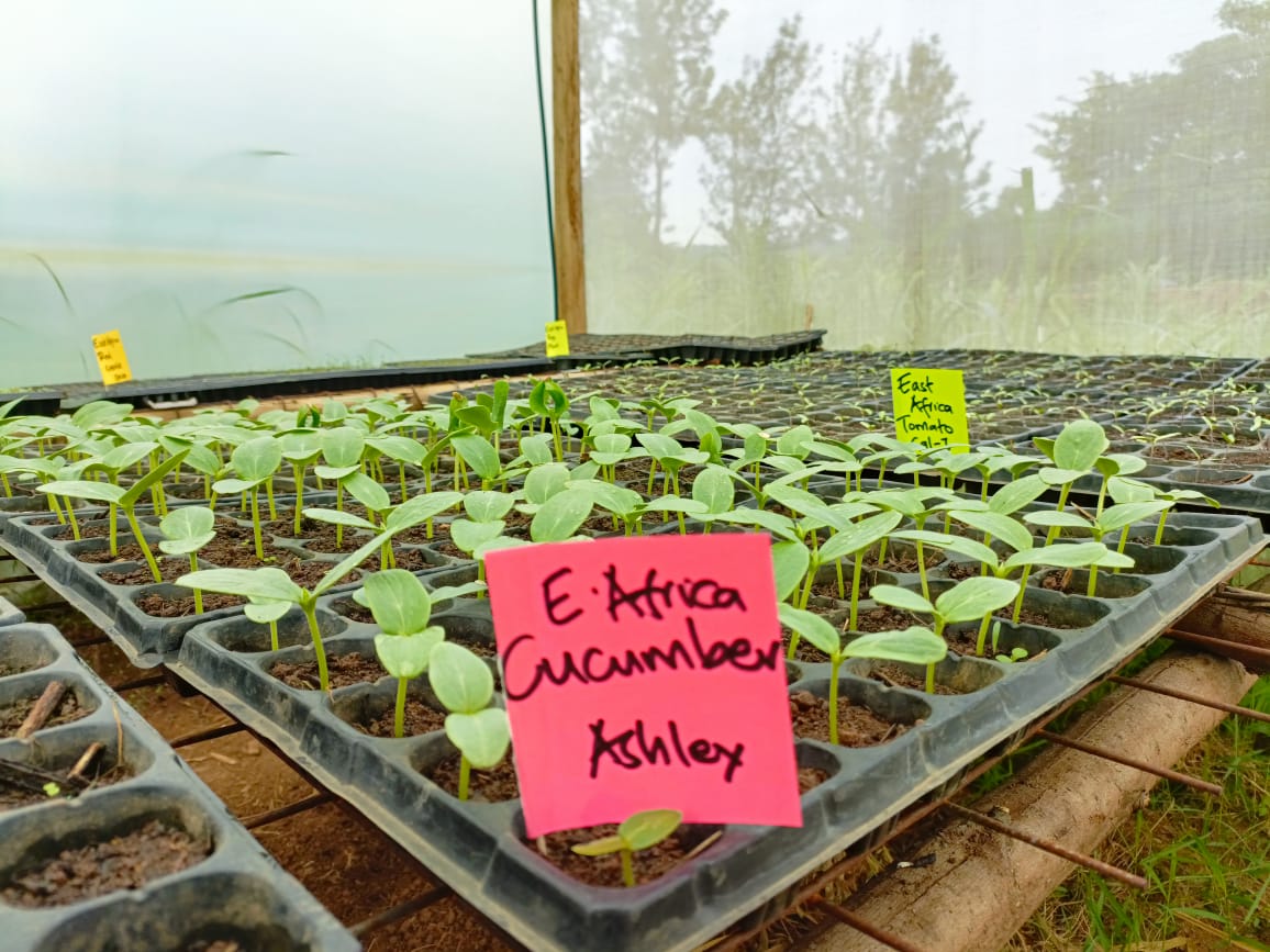 TransFarm Ventures tweet media