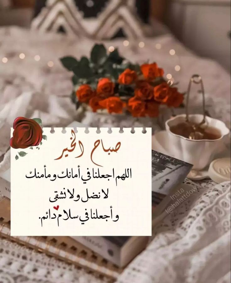 إللهى :
🍓 لمن أقصد وأنت المقصـود؟
🍓 وإلى مَن أتوجه وأنت الموجود؟
🍓 ومَن ذا الذي يعطي وأنت صاحب الكرم والجود؟
🍓 ومن ذا الذي أسأل وأنت الرب المعبود؟
🍓 وهل في الوجود ربٌّ سواك فيُدعى؟
🍓 أم هل في الملك إله غيرك فيُرجى وإليه يُسعى!
#صباح_الخير
#نوره_علي 
<a href="/NooraAli98/">نوره🇰🇼 علي🇸🇦</a>